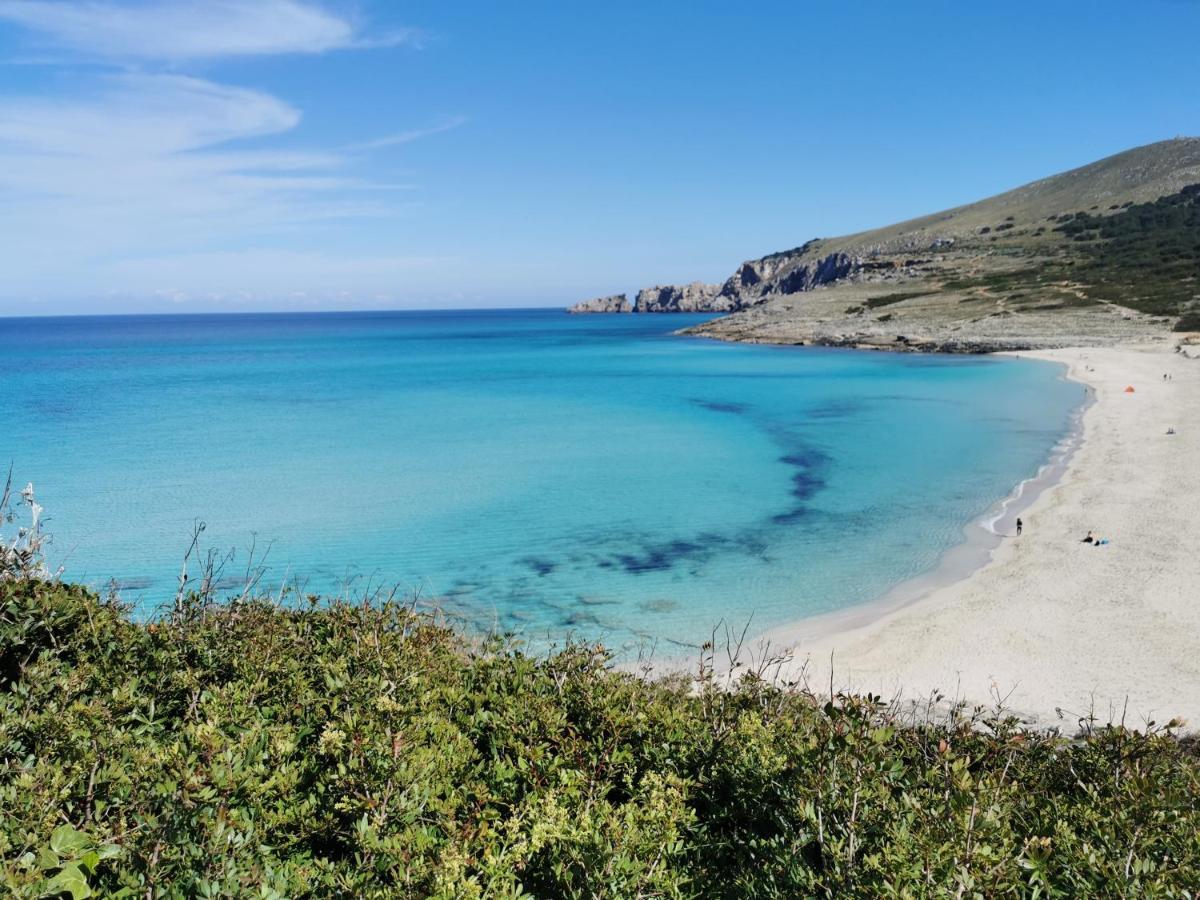 דירות קאלה מסקידה Cala Mesquida מראה חיצוני תמונה